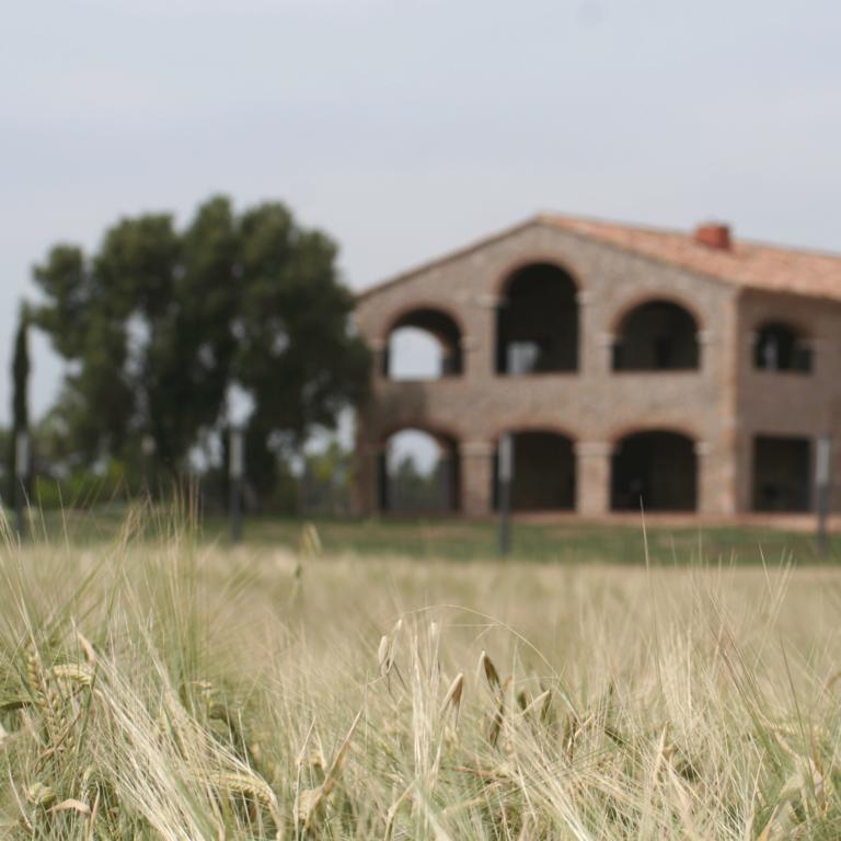 Hotel Mas Oliveres Pla De Palau Llers Exteriér fotografie