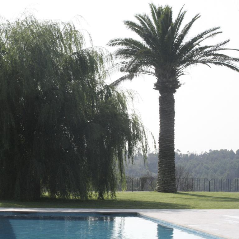 Hotel Mas Oliveres Pla De Palau Llers Exteriér fotografie