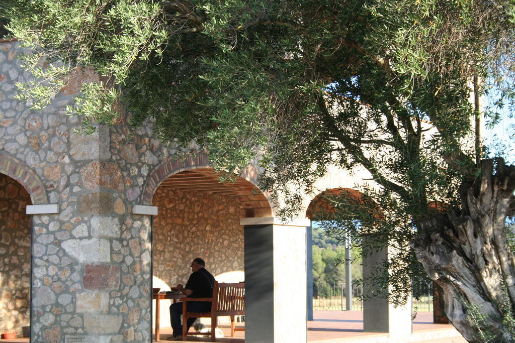 Hotel Mas Oliveres Pla De Palau Llers Exteriér fotografie